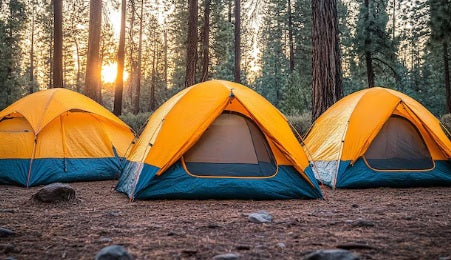 BigCamp Store